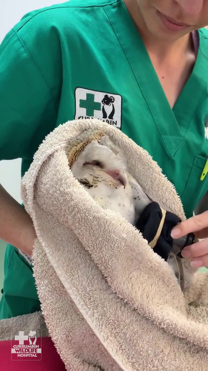 Misfortune Prompts Nickname