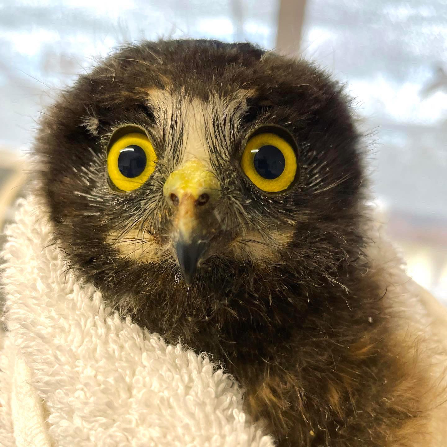 Baby Ruru checkup #2