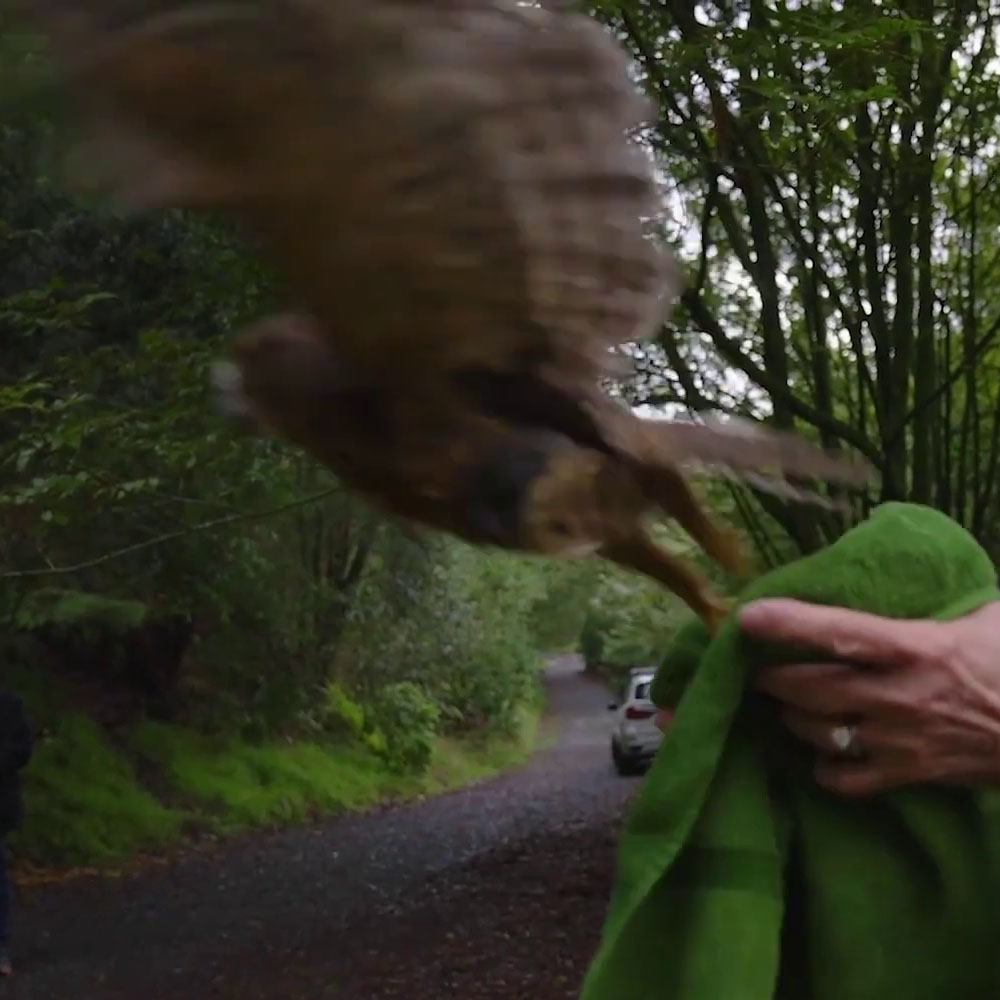 Morley outside the towel